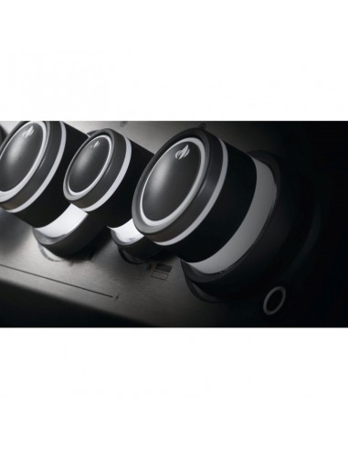 Barbecue à gaz "Rogue SE 425" - Napoléon Grills Napoléon Grills Barbecue