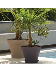 Soucoupe ronde Roméo pour pot 17 - Taupe Poétic Jardin Soucoupe pour pot et bac en plastique
