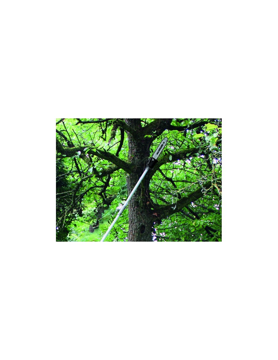 Outil Multifonctions Thermique GC-MM 52 I AS - Einhell Einhell Elagueuse