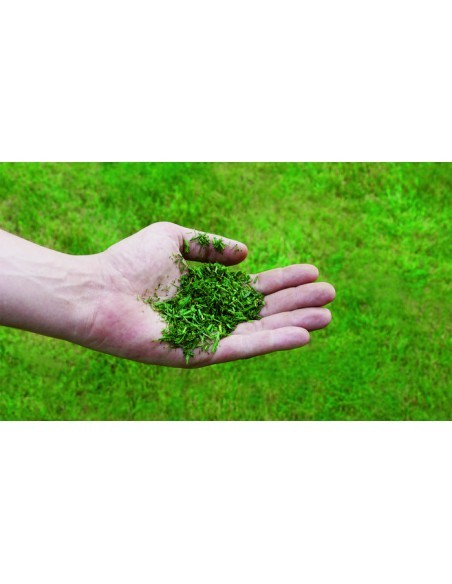 Tondeuse Thermique Tractée GC-PM 56/2 S HW - Einhell Einhell Tondeuse à gazon