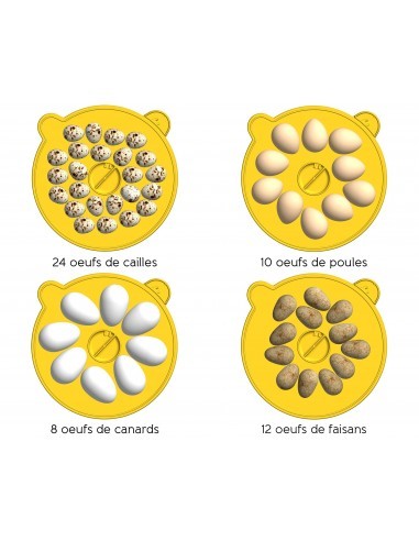 Couveuse Mini Eco 12 œufs  Soin et entretien
