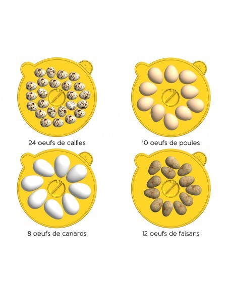 Couveuse Mini Eco 12 œufs  Soin et entretien