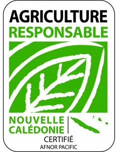 Fenouil commun - P12  Plants du potager 2