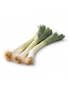 Poireaux en barquette de 10 Pépinière de la TAMOA Plants du potager