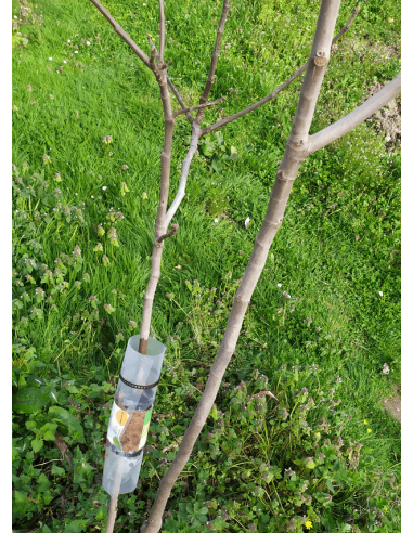 Kit de Marcottage Marcott+ - Arbotech Arbotech Matériel de Semis