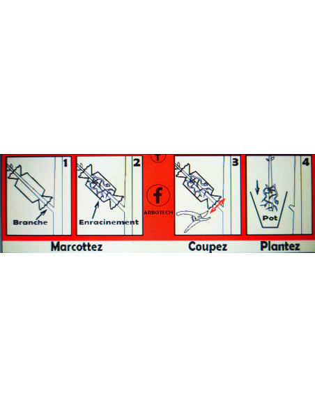 Kit de Marcottage Marcott+ - Arbotech Arbotech Matériel de Semis