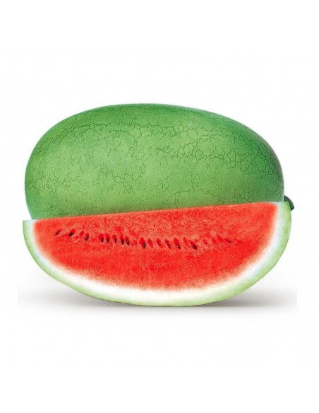 Pastèque Charleston Grey en godet Pépinière de la TAMOA Plants du potager