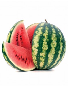 Pastèque Crimson Sweet en godet Pépinière de la TAMOA Plants du potager