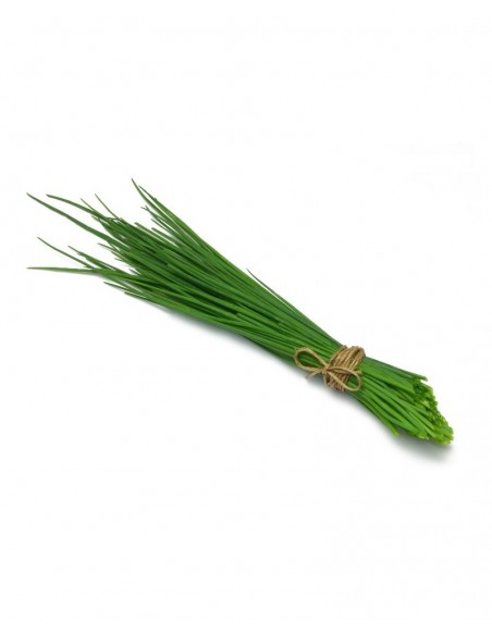 Ciboulette en pot P9 cm Pépinière de la TAMOA Plantes aromatiques