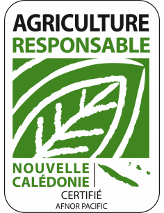 Basilic Thaï en pot de 2L Pépinière de la TAMOA Plantes aromatiques 2