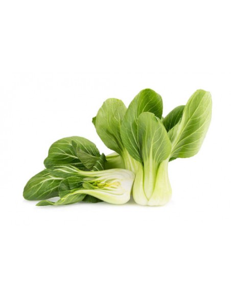 Chou de Chine - Pak Choï en godet Pépinière de la TAMOA Plants du potager