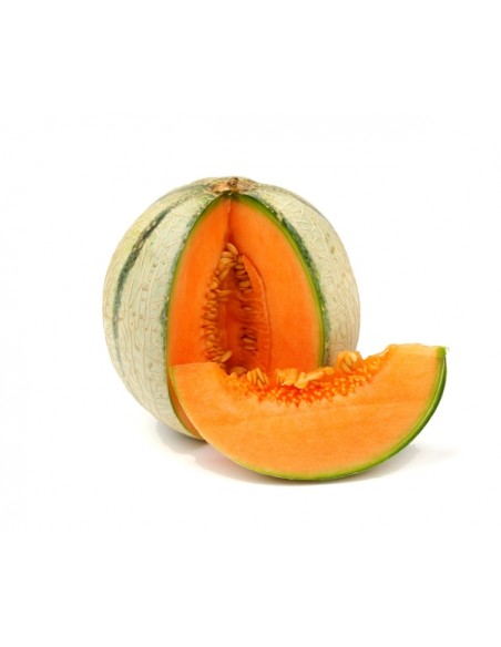 Melon charentais en godet Pépinière de la TAMOA Plants du potager