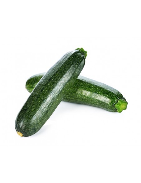 Courgette verte en godet Pépinière de la TAMOA Plants du potager