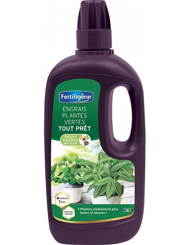 Engrais pour Plantes Vertes Tout prêt 1 Litre - Fertiligène Fertiligène Engrais Spécifique de synthèse