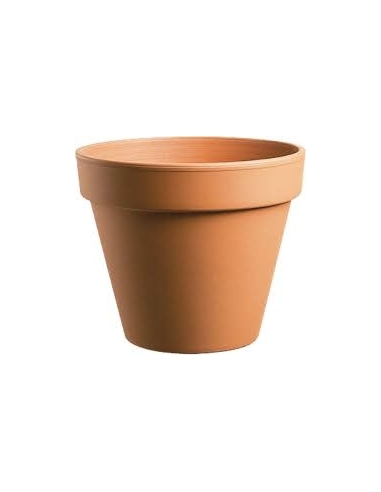 Pot en terre cuite horticole ø 19cm  Pot et bac en terre cuite rond