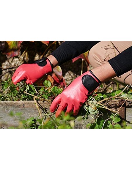 Gants pour plantation femme- ROSTAING Rostaing Gants