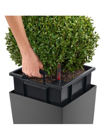 Pot à Réserve d'eau Cubico Rouge - LECHUZA Lechuza Pot et bac en plastique carré