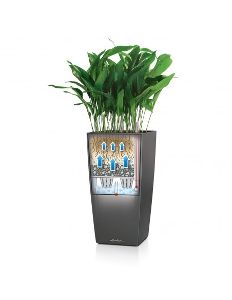 Pot à Réserve d'eau Cubico Rouge - LECHUZA Lechuza Pot et bac en plastique carré