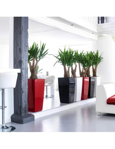 Pot à Réserve d'eau Cubico Rouge - LECHUZA Lechuza Pot et bac en plastique carré