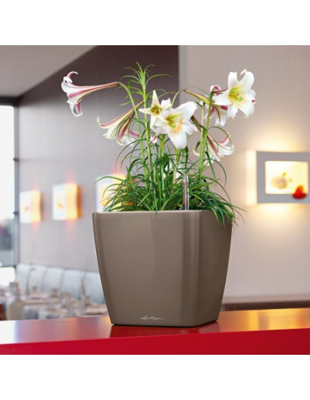 Pot à Réserve d'eau Classico Taupe - LECHUZA Lechuza Pot à réserve d'eau