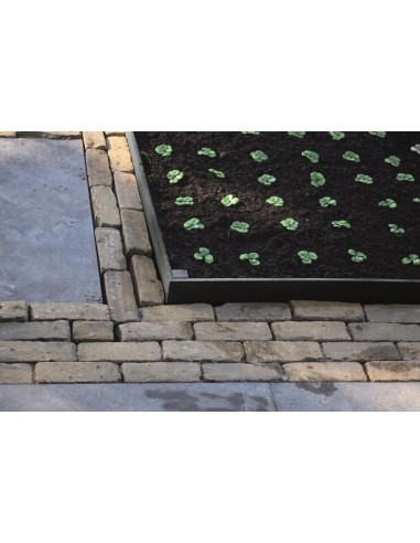 BorderFix rouleau 7mm/ L.15 m x H.14 cm - Ubbink Ubbink Bordures