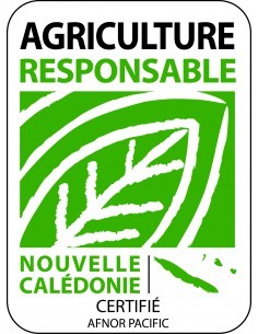 Tomate Prumbella Golden Orange - 2 litres Pépinière de la TAMOA Plants du potager 2