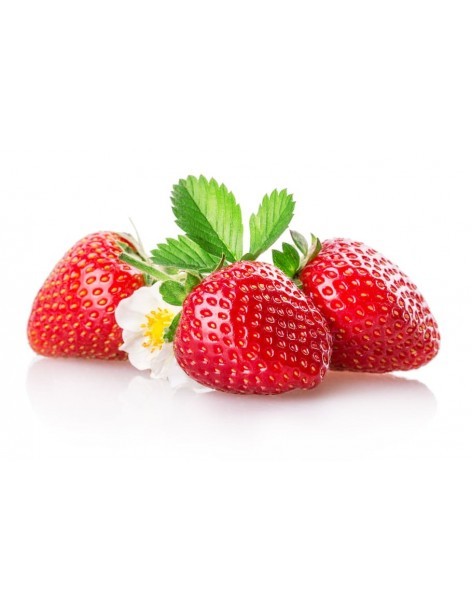 Fraisier Loran suspension - 25 cm Pépinière de la TAMOA Plants du potager 2