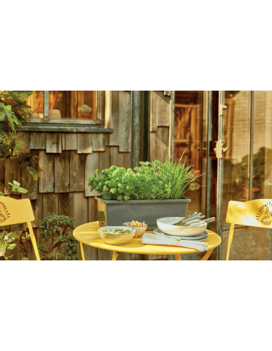 Jardinière d'aromatiques  Plantes aromatiques