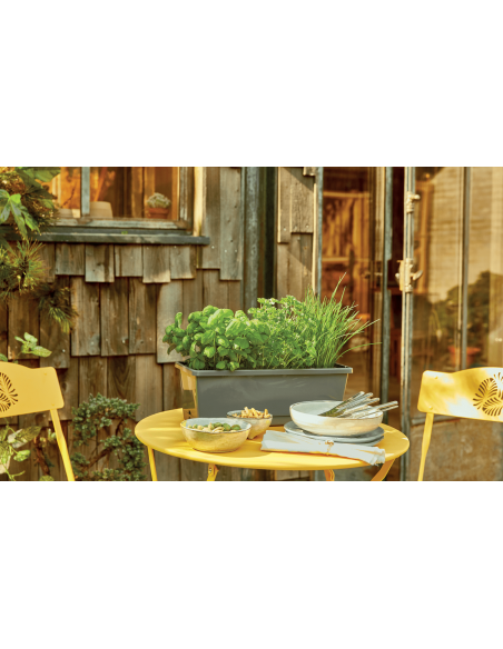 Jardinière d'aromatiques  Plantes aromatiques