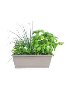Jardinière d'aromatiques  Plantes aromatiques