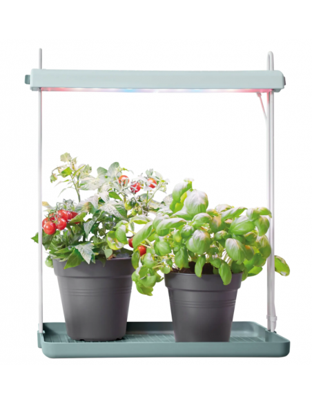 Light Garden - Elho Elho Accessoires pour serre et semis