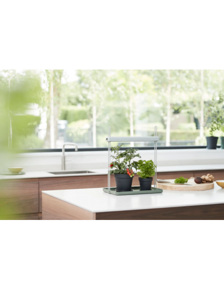 Light Garden - Elho Elho Accessoires pour serre et semis