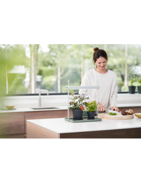 Light Garden - Elho Elho Accessoires pour serre et semis