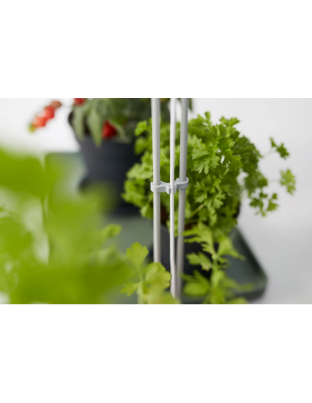 Light Garden - Elho Elho Accessoires pour serre et semis