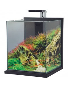 Aquarium Jalaya XXL - 31.5L Zolux Aquarium petit volume 2