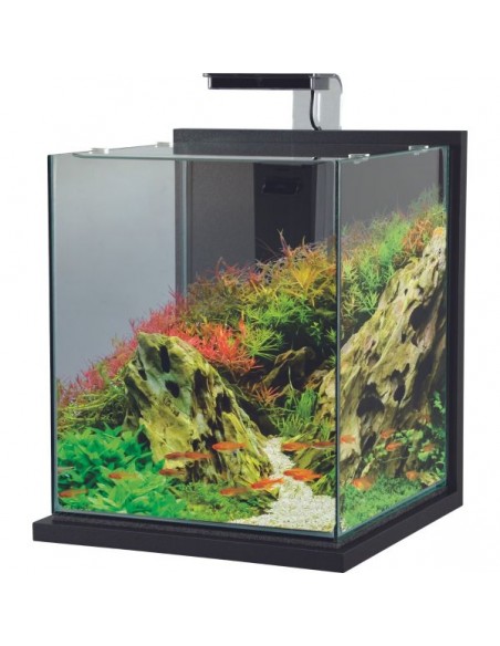 Aquarium Jalaya XXL - 31.5L Zolux Aquarium petit volume