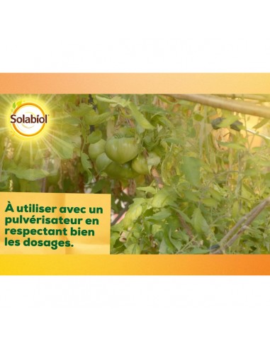 Traitement Insectes & Acariens Polyvalent 100ml - SOLABIOL Solabiol Insecticide naturel