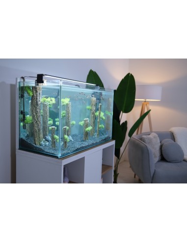 Aquarium IDRO MAX 160 Blanc - Zolux Zolux Aquarium pour poisson d'eau chaude