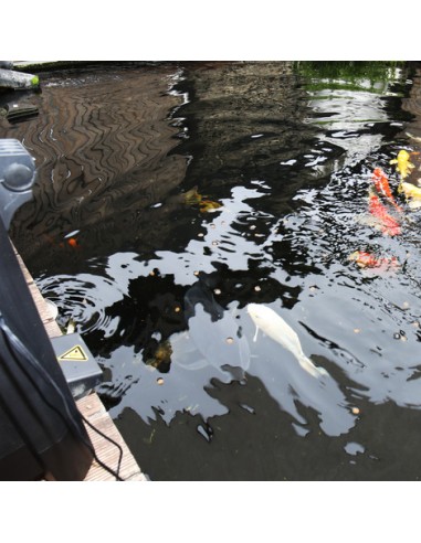 Distributeur Automatique Solaire Aliment Poisson, AutoFood ProPond - JBL JBL Alimentation pour poissons de bassin