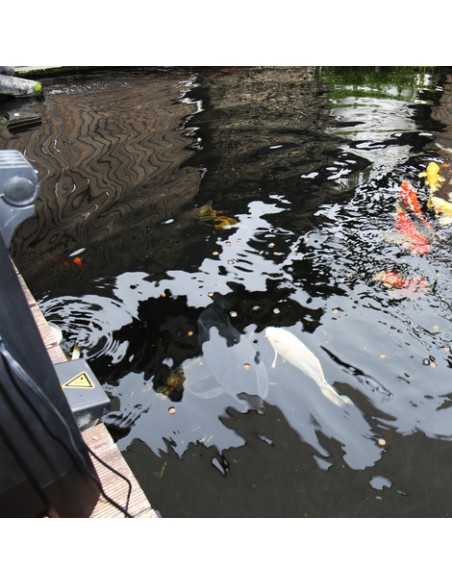 Distributeur Automatique Solaire Aliment Poisson, AutoFood ProPond - JBL JBL Alimentation pour poissons de bassin