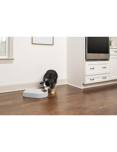 Distributeur automatique 5 repas Eatwell Petsafe Distributeur