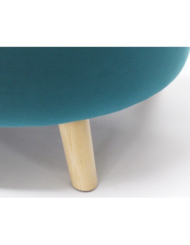 Canapé Design pour Chat & Chien Bleu - Taille S - Pure Family  Coussin et dôme