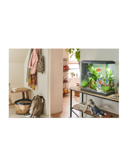Aquarium Fresh 40XL LED Gris 25L - Pure Family Pure Family Aquarium petit volume Aquarium Fresh 40XL LED Gris 25L - Pure Family Pure Family Aquarium petit volume