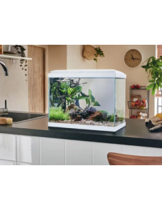 Aquarium Fresh 40 LED Blanc 20L avec Kit de Filtration + Éclairage - Pure Family Pure Family Aquarium pour poisson d'eau froide