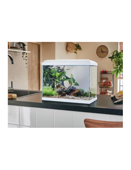 Aquarium Fresh 40 LED Blanc 20L avec Kit de Filtration + Éclairage - Pure Family Pure Family Aquarium pour poisson d'eau froide