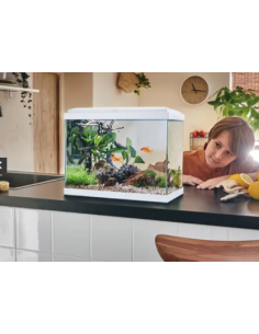 Aquarium Fresh 40 LED Blanc 20L avec Kit de Filtration + Éclairage - Pure Family Pure Family Aquarium pour poisson d'eau froide 2
