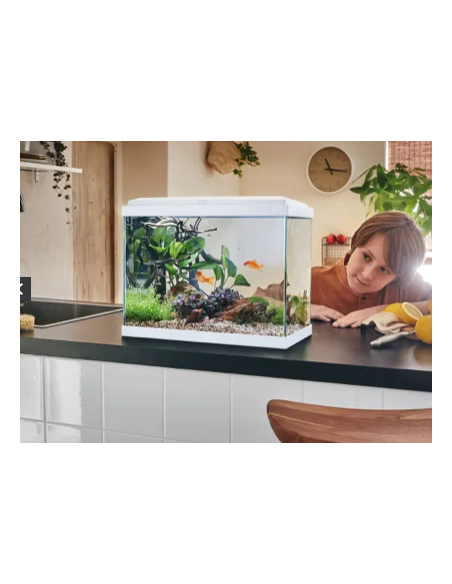Aquarium Fresh 40 LED Blanc 20L avec Kit de Filtration + Éclairage - Pure Family Pure Family Aquarium pour poisson d'eau froide