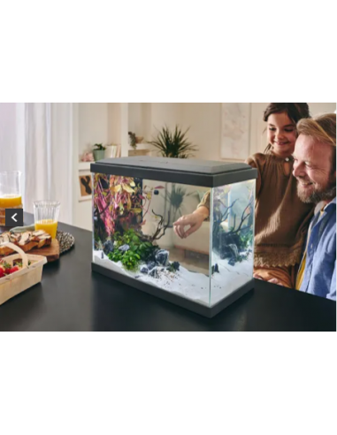 Aquarium Fresh 40 Gris 20L avec Kit de Filtration - Pure Family Pure Family Aquarium pour poisson d'eau froide