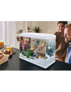Aquarium Fresh 40 Blanc 20L avec Kit de Filtration - Pure Family Pure Family Aquarium pour poisson d'eau froide