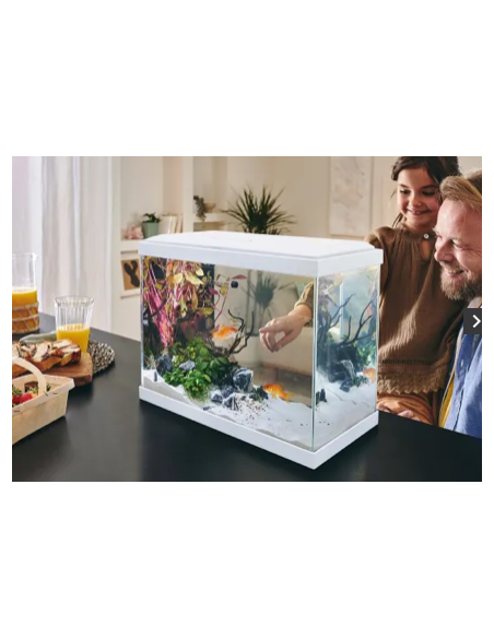 Aquarium Fresh 40 Blanc 20L avec Kit de Filtration - Pure Family Pure Family Aquarium pour poisson d'eau froide